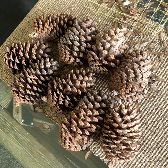 X9 natural large pine cones / Christmas home decorations / Great for Crafts - Picture 3 of 5